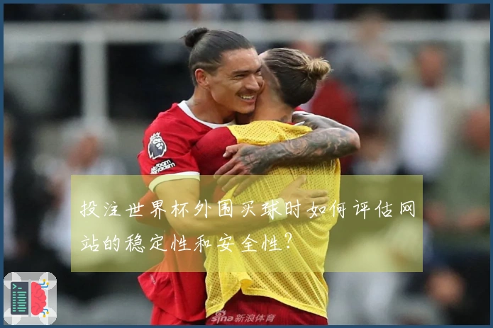 投注世界杯外围买球时如何评估网站的稳定性和安全性？