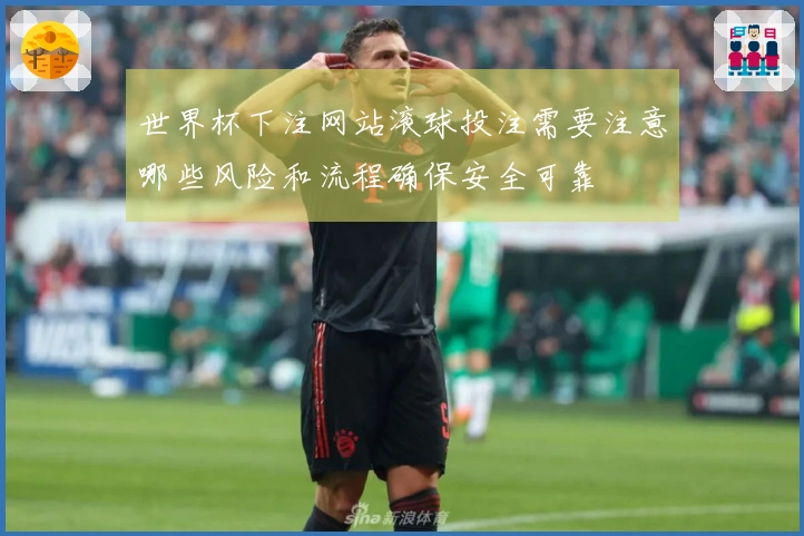 世界杯下注网站滚球投注需要注意哪些风险和流程确保安全可靠