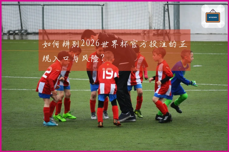 如何辨别2026世界杯官方投注的正规入口与风险？